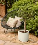 eden 35cm linen white